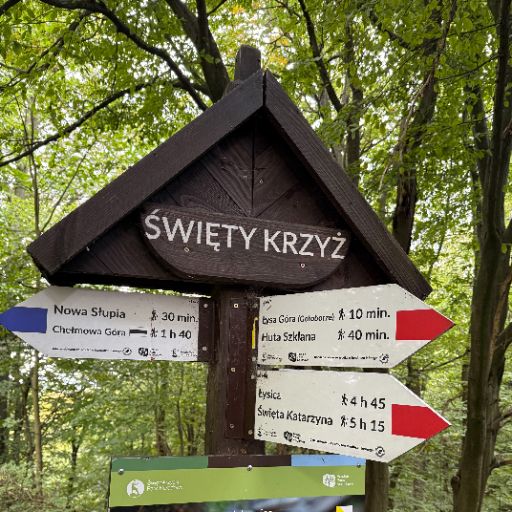 Pielgrzymka maturzystów